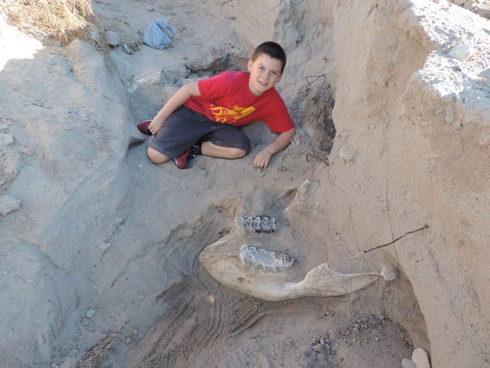 Jude Sparks poses alongside the nearly-excavated stegomastodon skull he tripped over while hiking.