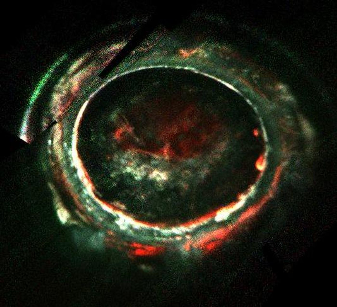 An image captured via Juno's Ultraviolet Imaging Spectrograph of Jupiter's intense aurora.