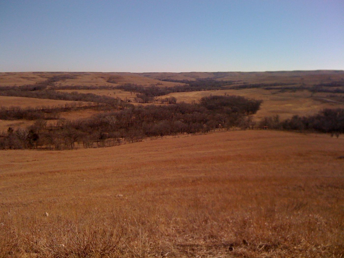The Kansas prairie / Credit: 22860/Flickr
