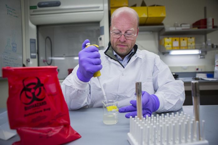 Dr. Karsten Hueffer, lead author and a professor of veterinary microbiology at the University of Alaska Fairbanks, said he hopes these research findings will help scientists better understand and treat the infectious viral disease. / Credit: Photo by Meghan Murphy.