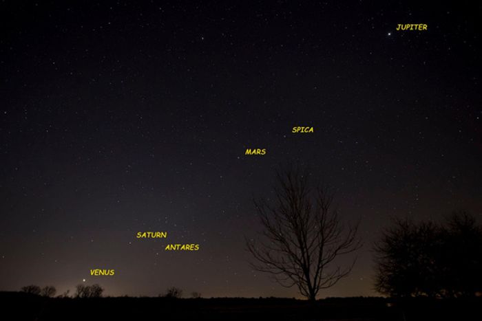 The planets will be visible in the sky just before dawn for the next month.