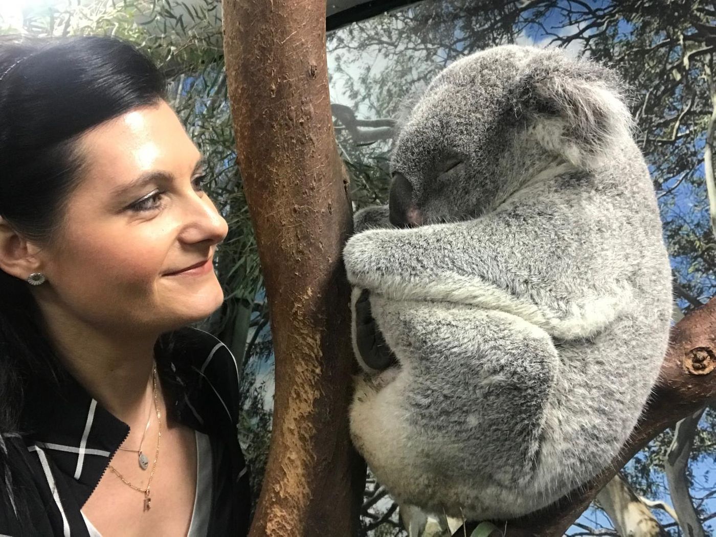 Professor Rebecca Johnson with a koala. / Credit: University of Sydney