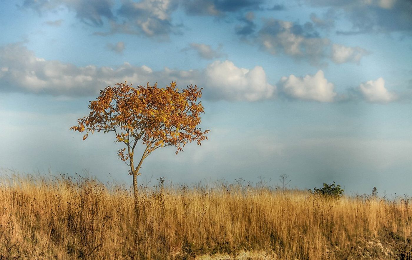 Soil drought contributes to atmospheric aridity, according to new research. Photo: Pixabay