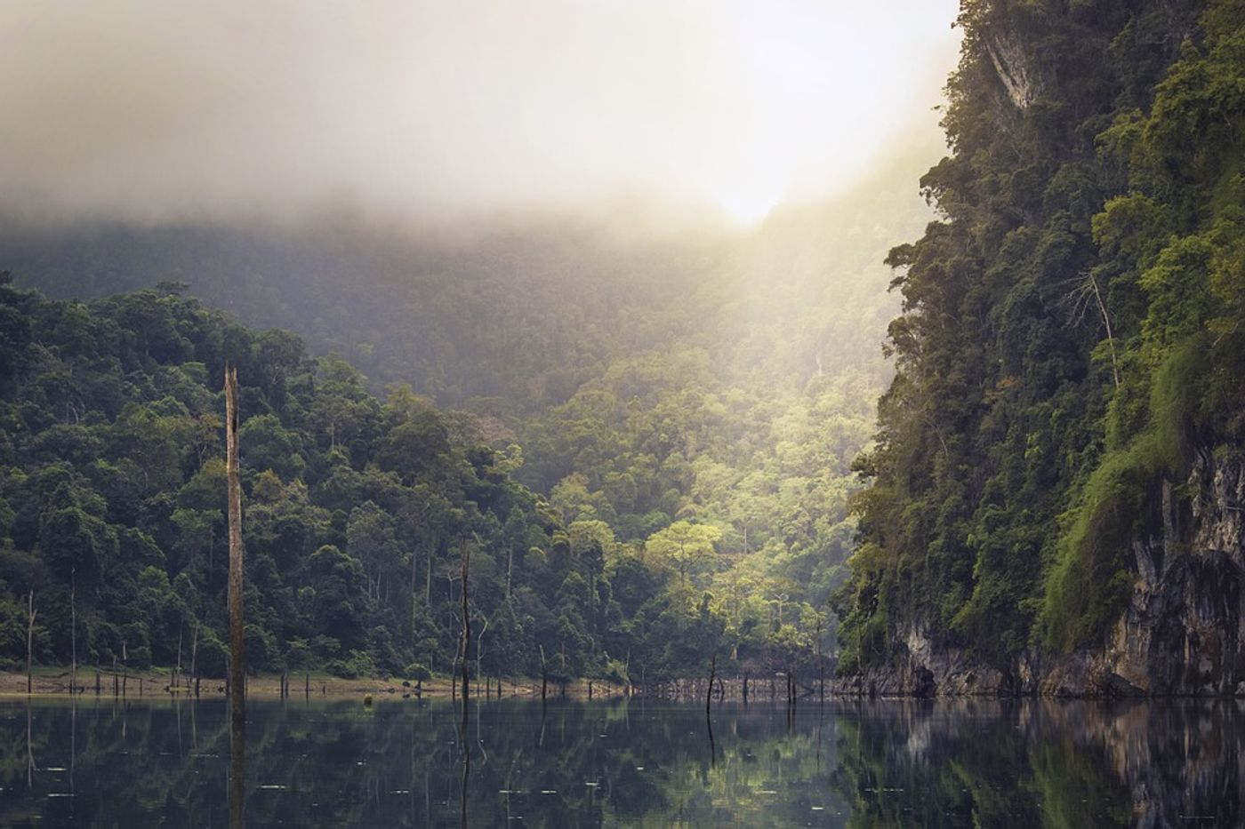 This new method provides detailed information about carbon emissions in Peru's rain forest. Photo: Pixabay