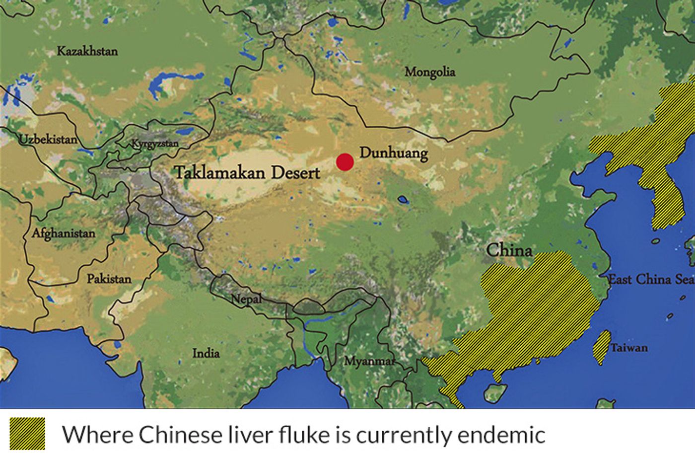 The current site where liver fluke is found is nowhere near the location on the Silk Road (red dot) where it's eggs were identified. / Credit: Yeh et al. Reproduced from the Journal of Archaeological Science: Reports