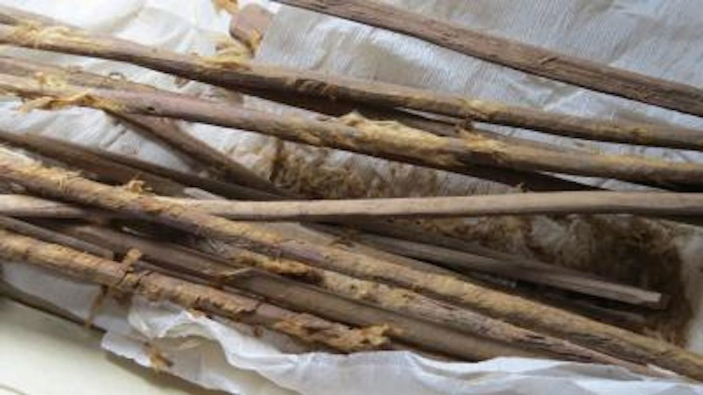 These are 2,000-year-old personal hygiene sticks with remains of cloth, excavated from the latrine at Xuanquanzhi. / Credit: Hui-Yuan Yeh. Reproduced from the Journal of Archaeological Science: Reports