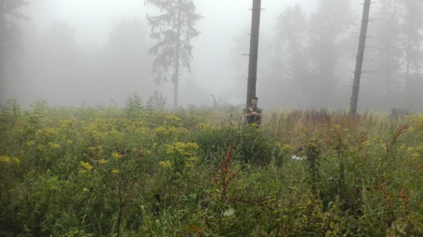 Coauthor Radomir Balazy collects data on species diversity and annual timber production in a forest in Poland. Photo by Marek Drozd