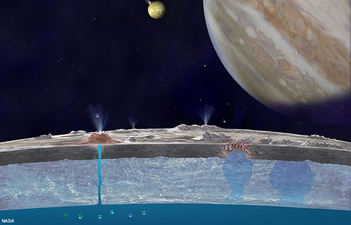 Europa's under-surface liquid ocean may have the Earth-like chemistry needed to support life.