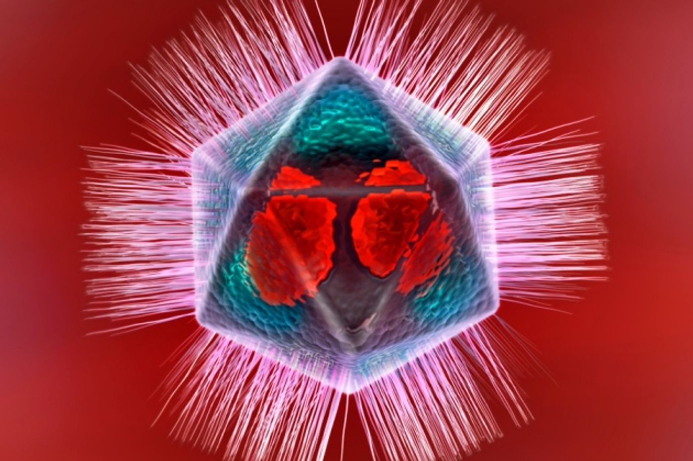 Computer artwork of a particle of the giant mimivirus.