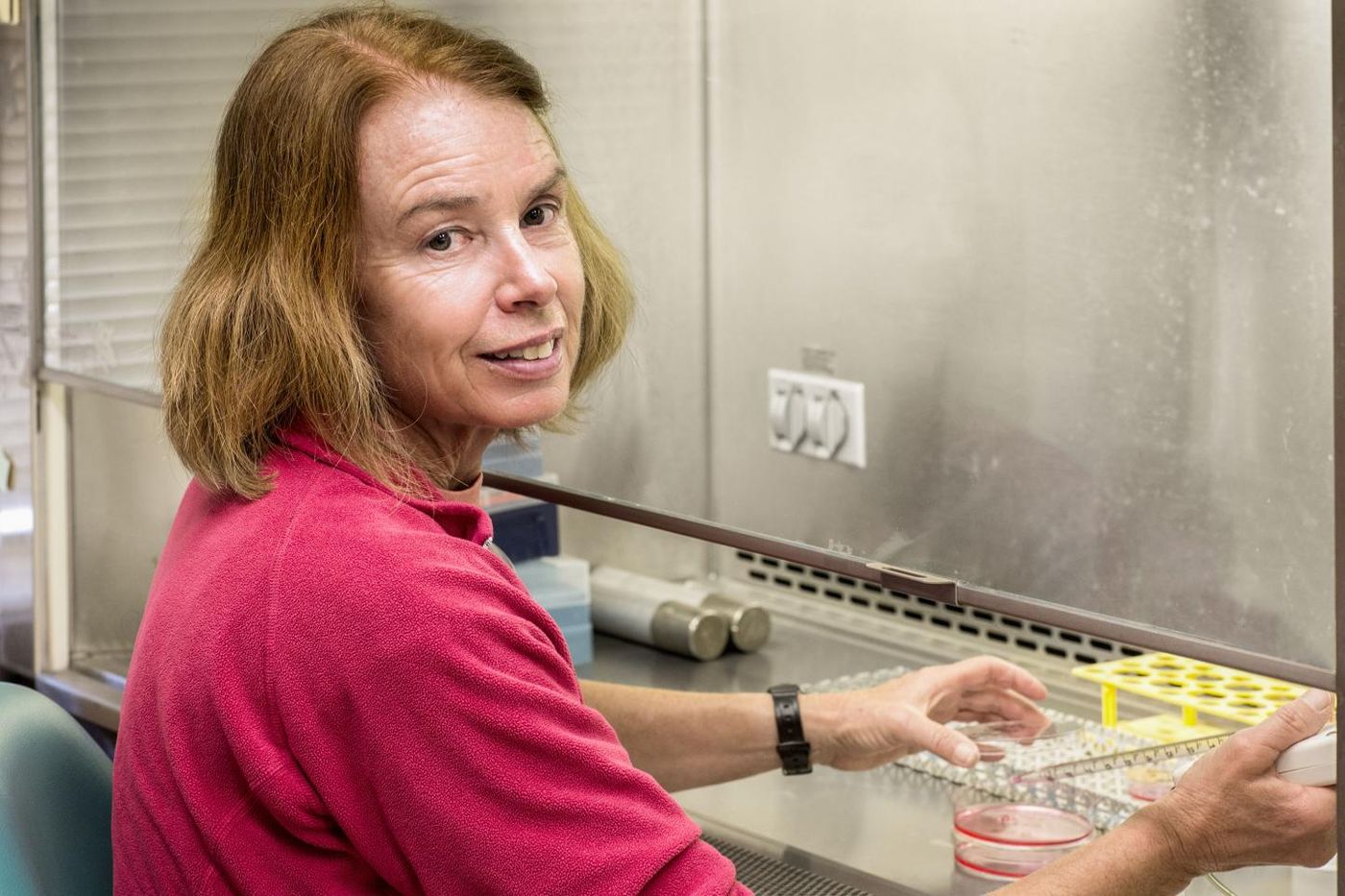 Salk scientists find benefits of antioxidant fisetin in mouse model of premature aging, Alzheimer's disease. Pamela Maher is pictured. / Credit: Salk Institute
