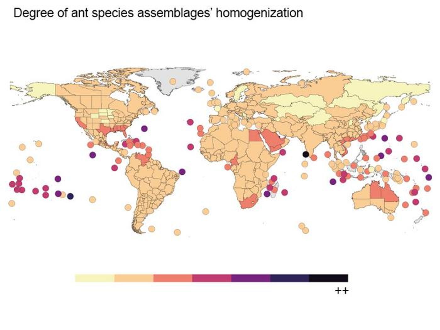 The homogenization of ant assemblages is notable on islands, which are home to some rare and particularly vulnerable ecosystems, compared to continents / Credit: © Lucie Aulus-Giacosa, DEE-UNIL