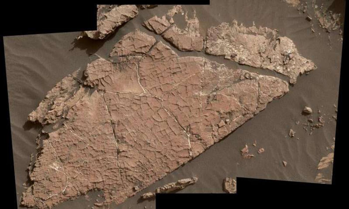 This stone slab on the Martian surface may be riddled with cracked mud fragments, suggesting evidence for water nearly 3 billion years ago.