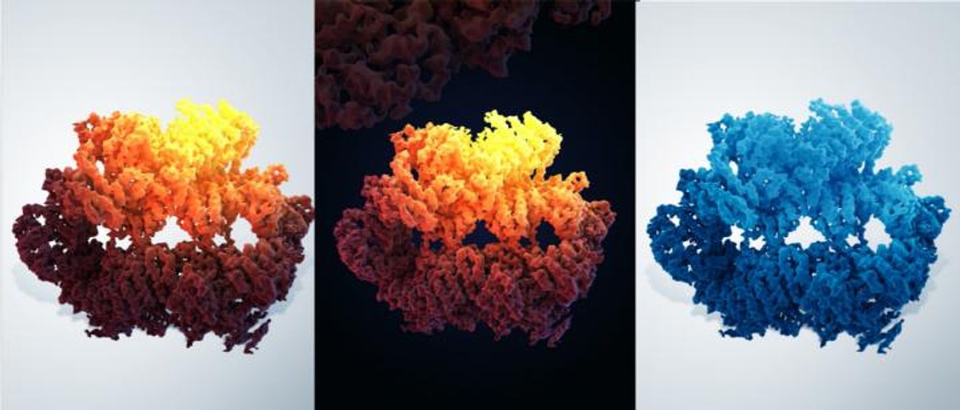 Three-dimensional structure of the yeast Mec1-Ddc2 complex, a homolog of human ATR-ATRIP. / Credit: ©University of Science & Technology of China,Illustration: Guoyan Wang and Yanbing Ma