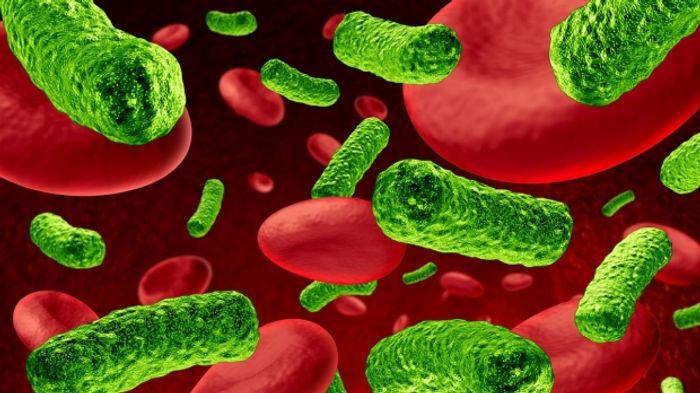 Meta-Virus Signature Tells the Difference Between Viral and | Immunology