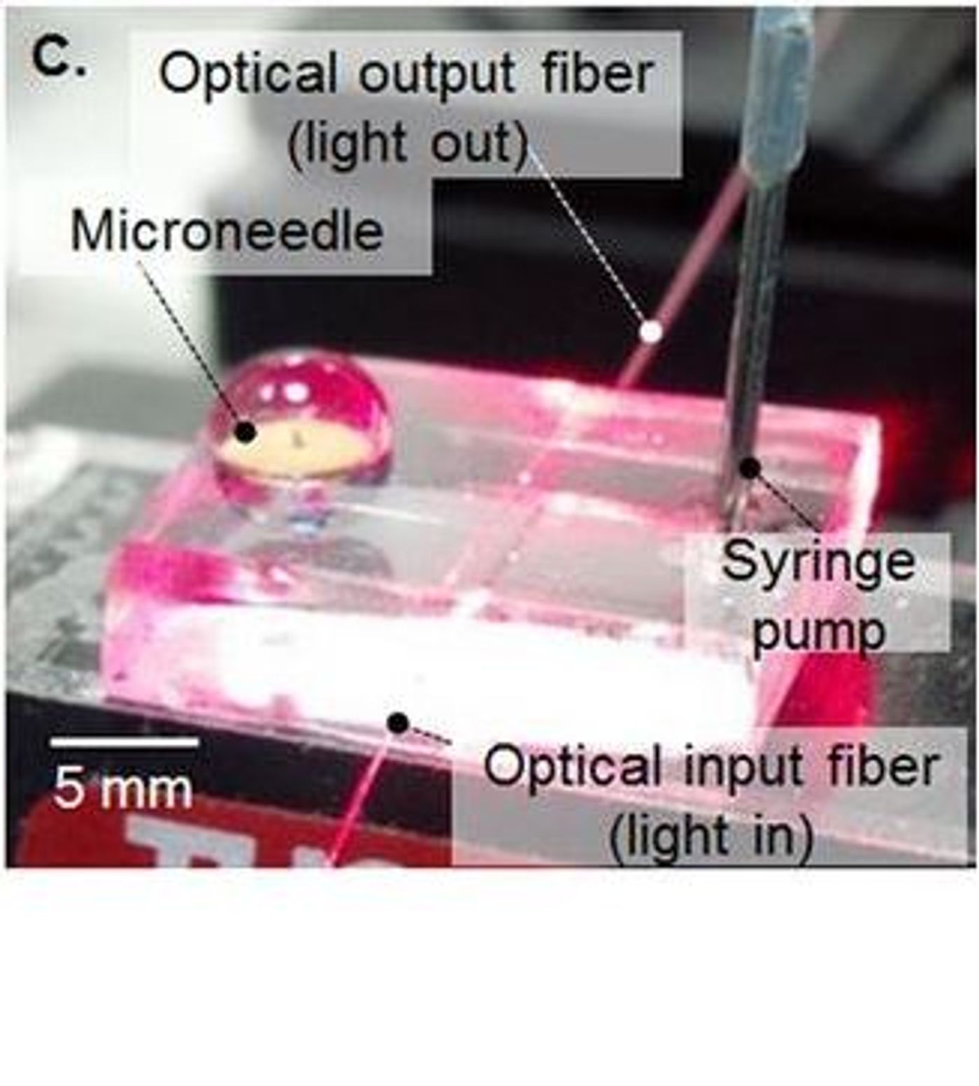 An image of the integrated microneedle-optofluidic device. For full explanation, see Figure 1 in Ranamukhaarachchi et al. 2016.