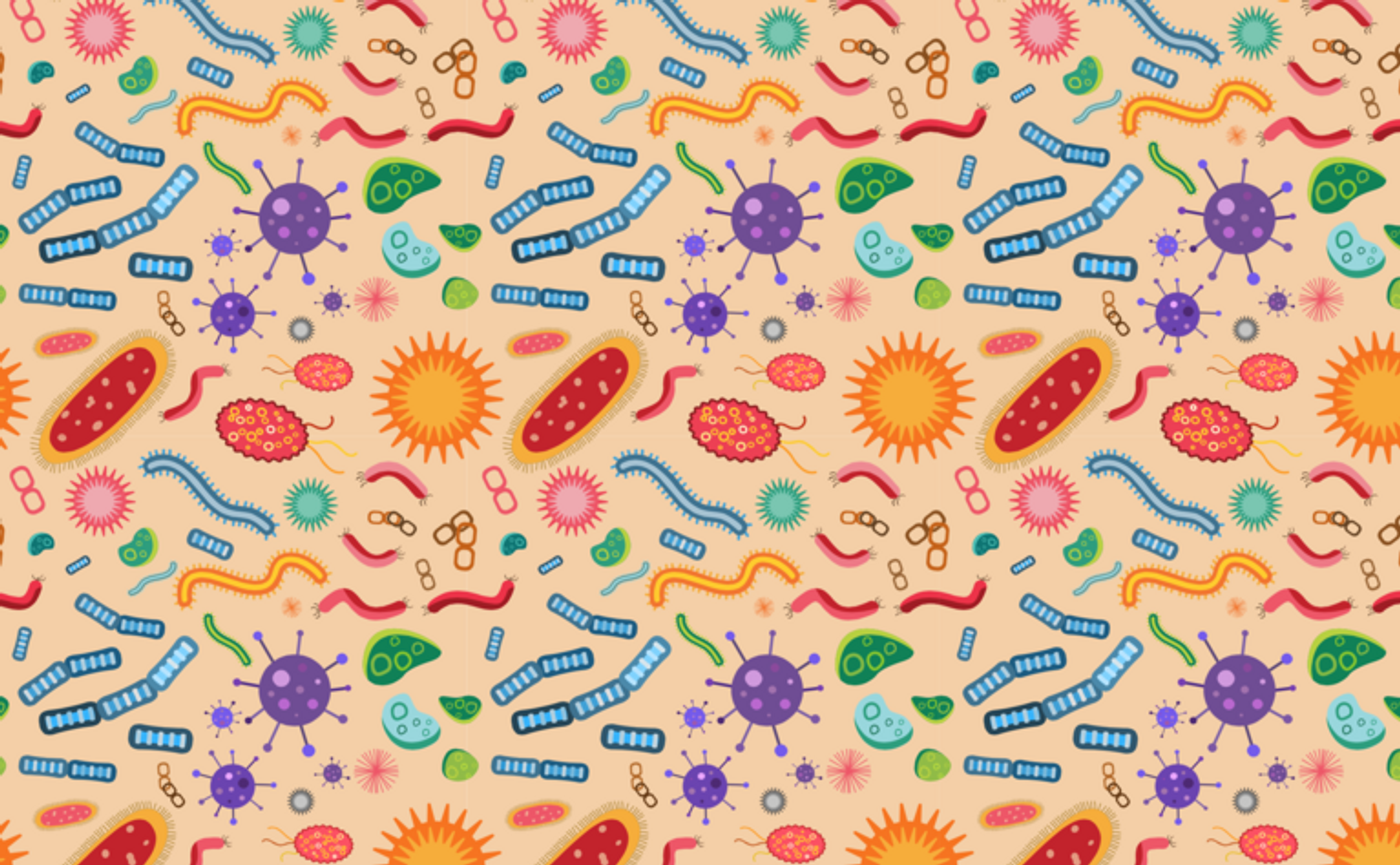 Gut microbes affect our health