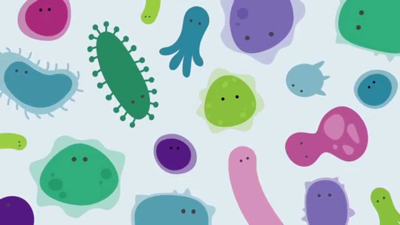 The gut microbiome is home to trillions of microorganisms. Credit: CDHFtube