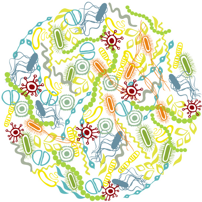 An illustration of the microbiome