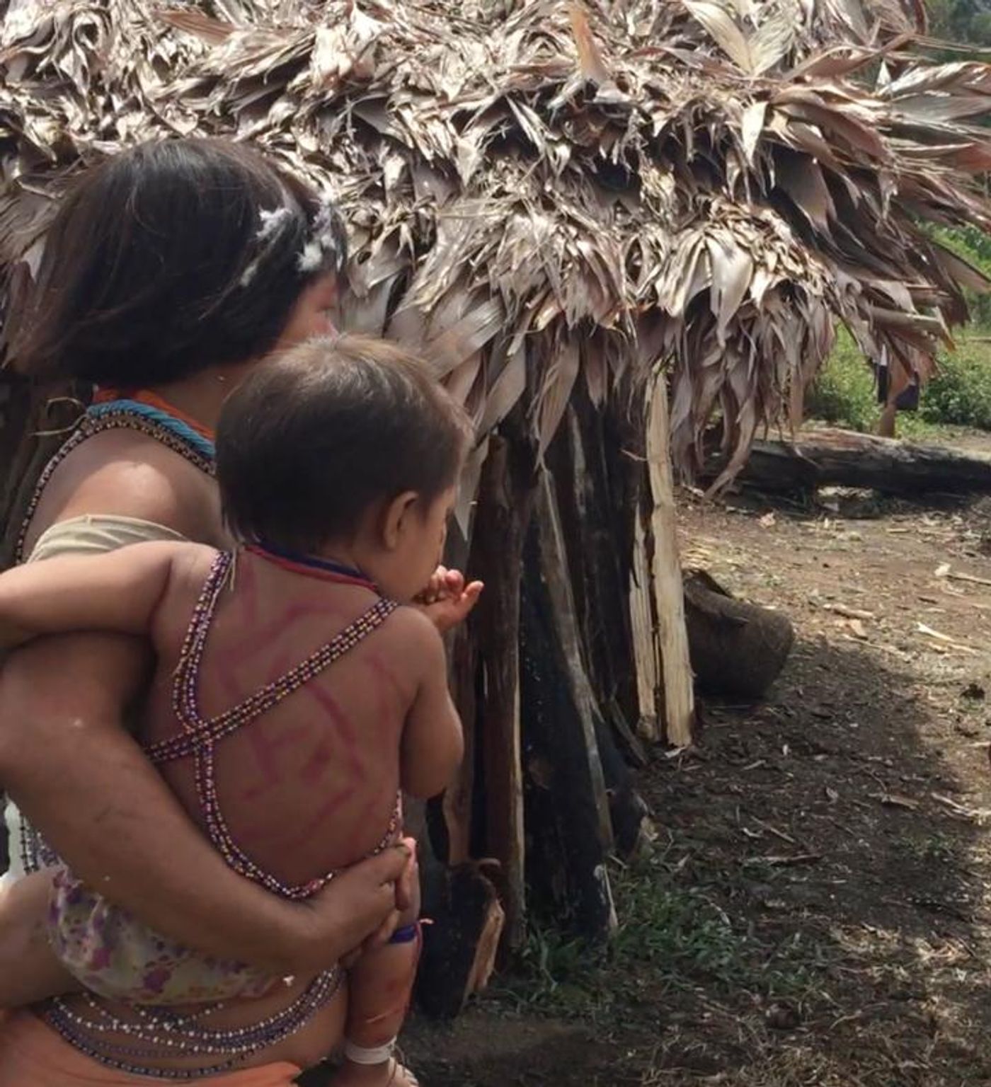 A Rutgers University-New Brunswick study followed a group of urban adults and children during a 16-day visit to this Venezuelan rainforest village, to see how their microbiome -- the good germs living on and in their bodies -- would change. / Credit: Maria Gloria Dominguez-Bello, Rutgers University-New Brunswick