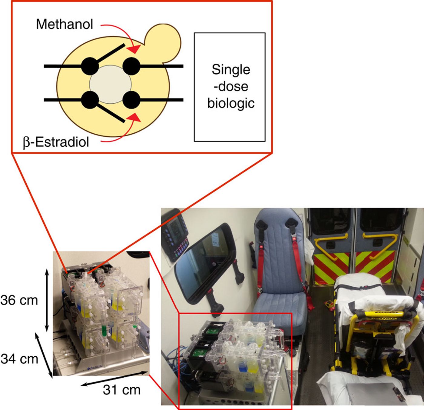 Microbioreactor system in the context of an ambulance.
