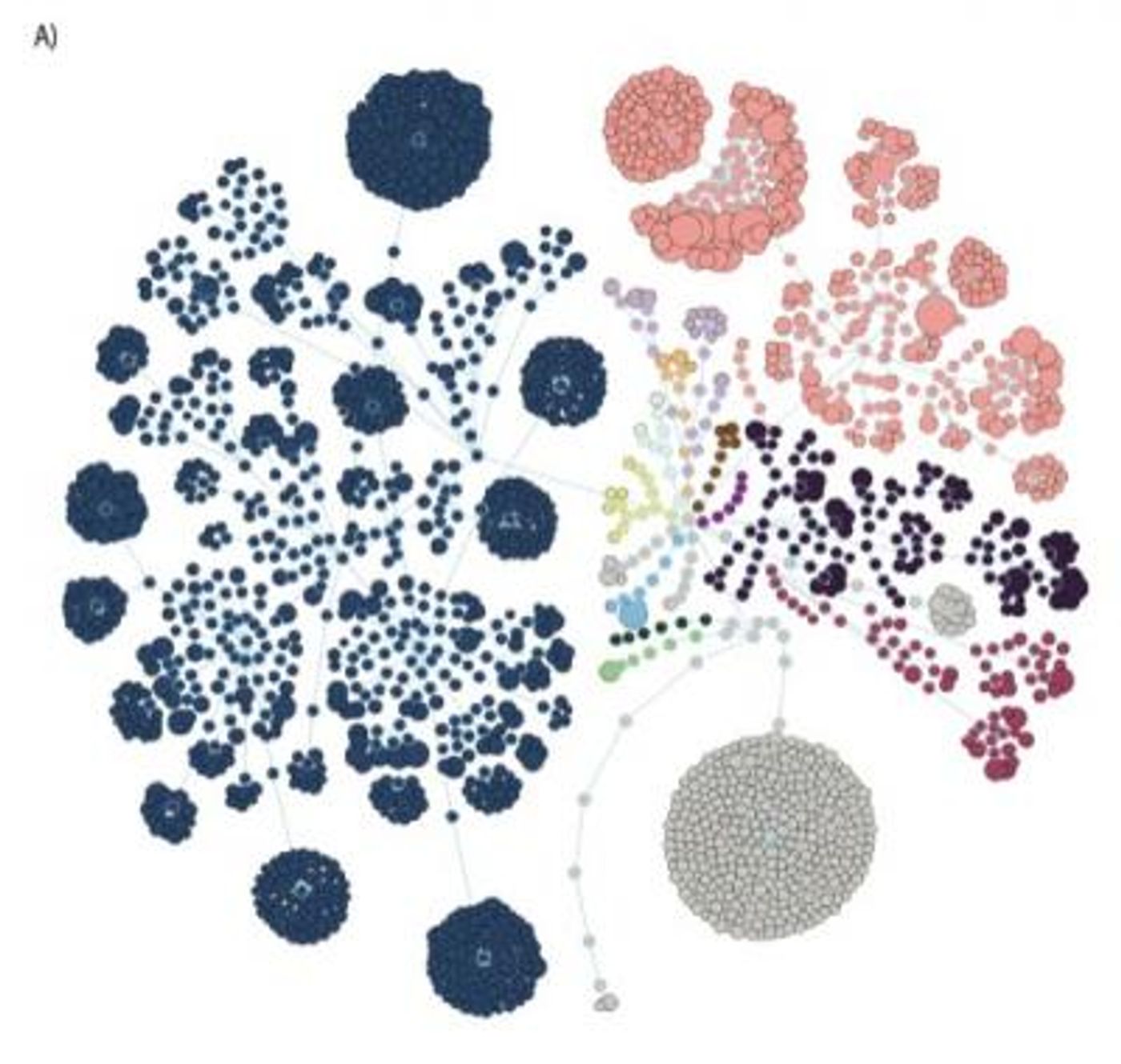 Human gut microbiome composition shows an enormous richness. Each circle represents a bacterial species, while the different colours mark different bacterial phyla. / Credit:  Dr. Amir Minerbi
