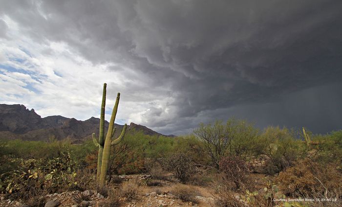 Monsoons often come on suddenly. Photo: The Arizona Experience