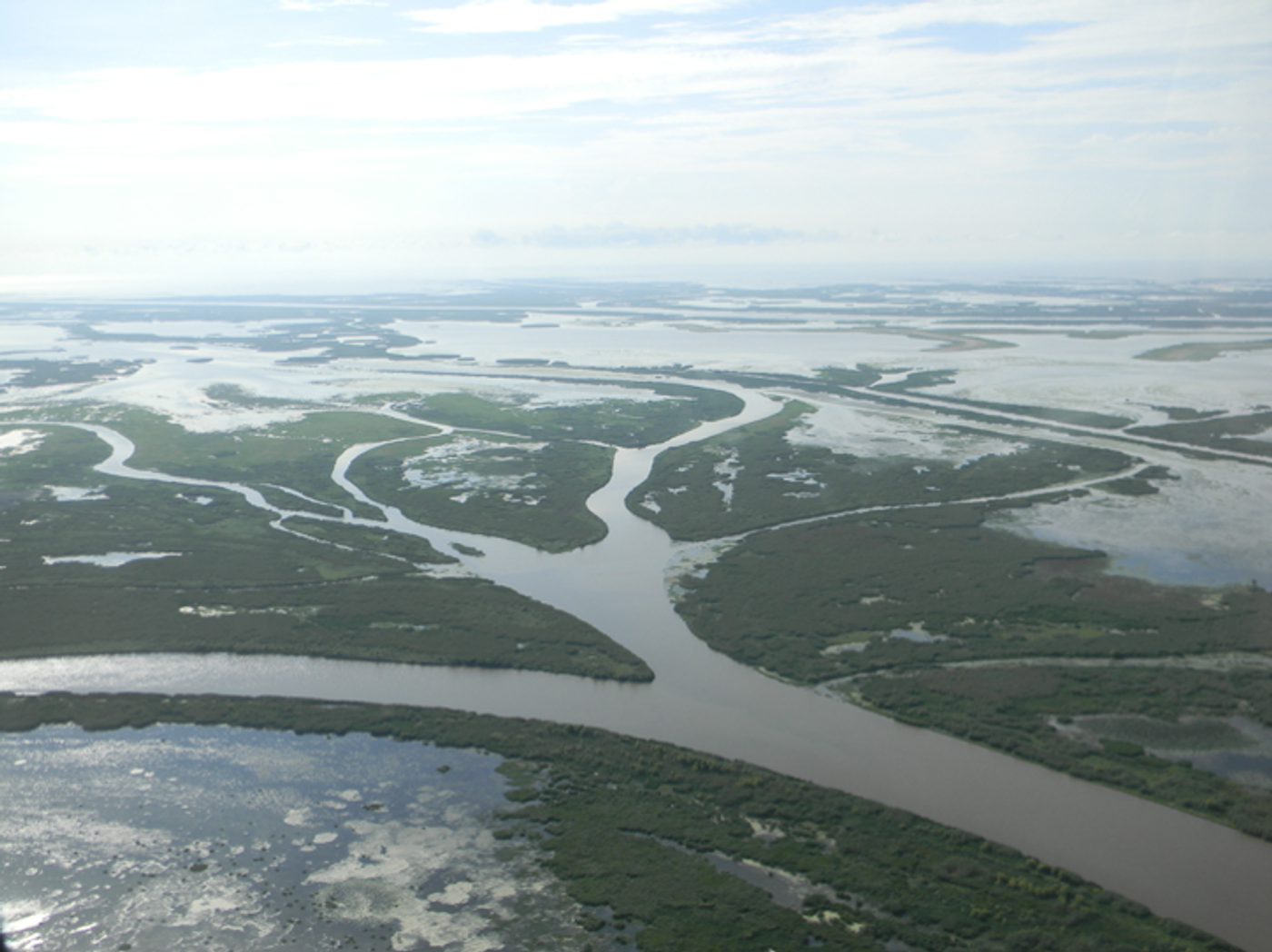A view of the Mississippi River delta. Photo: Restore the Mississippi River Delta