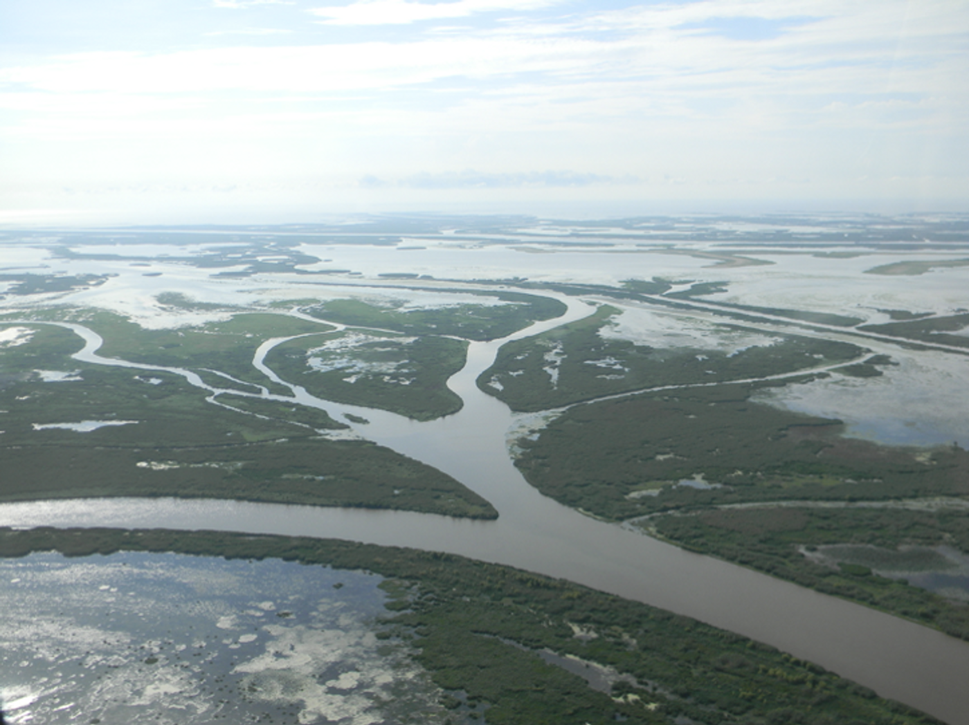 Reshaping the Mississippi is unraveling wildlife habitat: The River's  Revenge, Environment