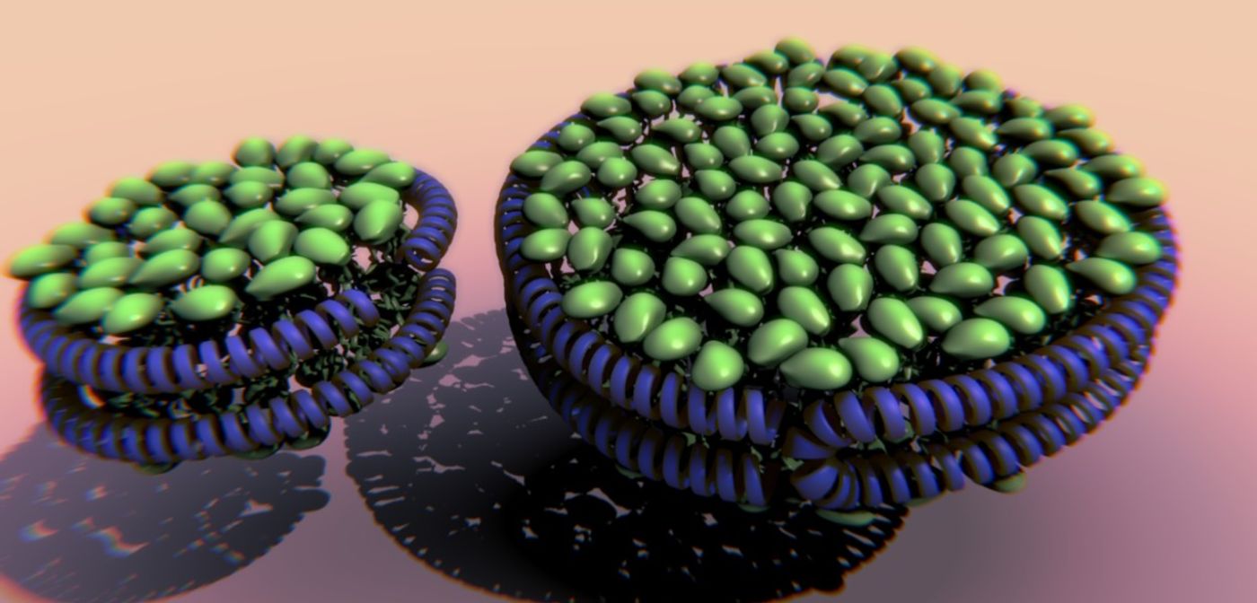 Artistic representation of a nanodisc. Source: blenderartists.org