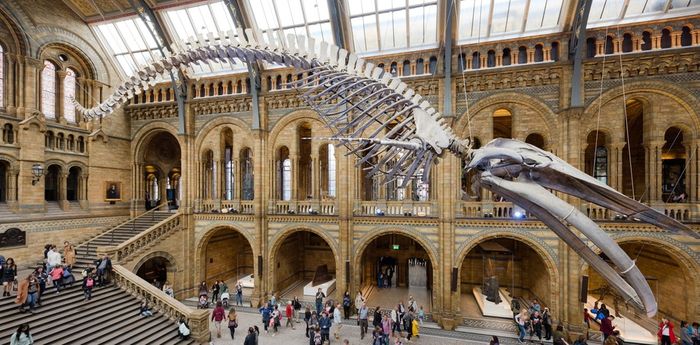 Natural history museums around the world house billions of species and their data. Photo: Popular Science