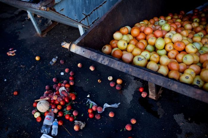 Unsold tomatoes fill a Dumpster at a farmers market in Asheville, North Carolina, even though community kitchens collect some of the castoffs from vendors five days a week. About 26 percent of fresh tomatoes in the United States never make it into consumer hands.