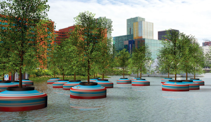 Soon, a forest of floating trees will be installed in a Dutch city's waterfront.