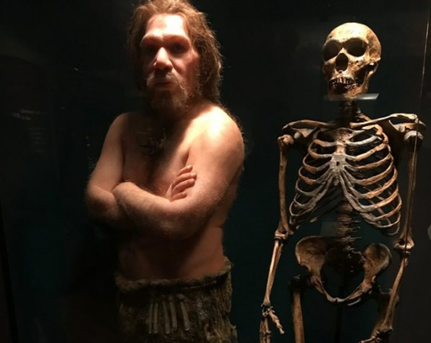 neanderthal body reconstruction