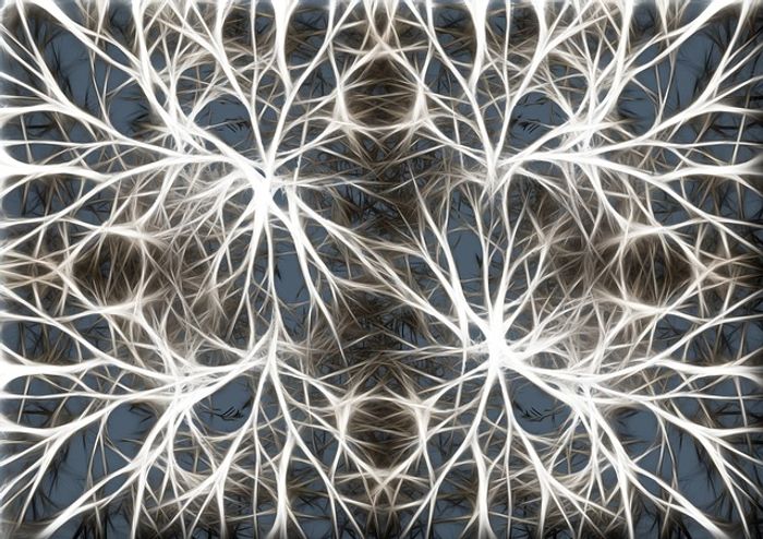 Neurons in the brain could be connected to technology