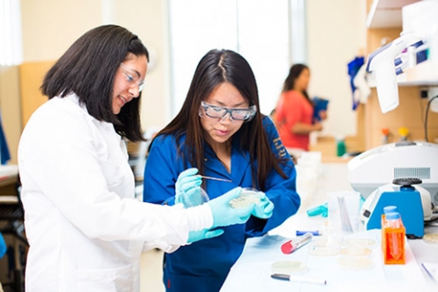 Professor Clarissa Nobile, left, works on biofilm research./ Credit: Elena Zhukova