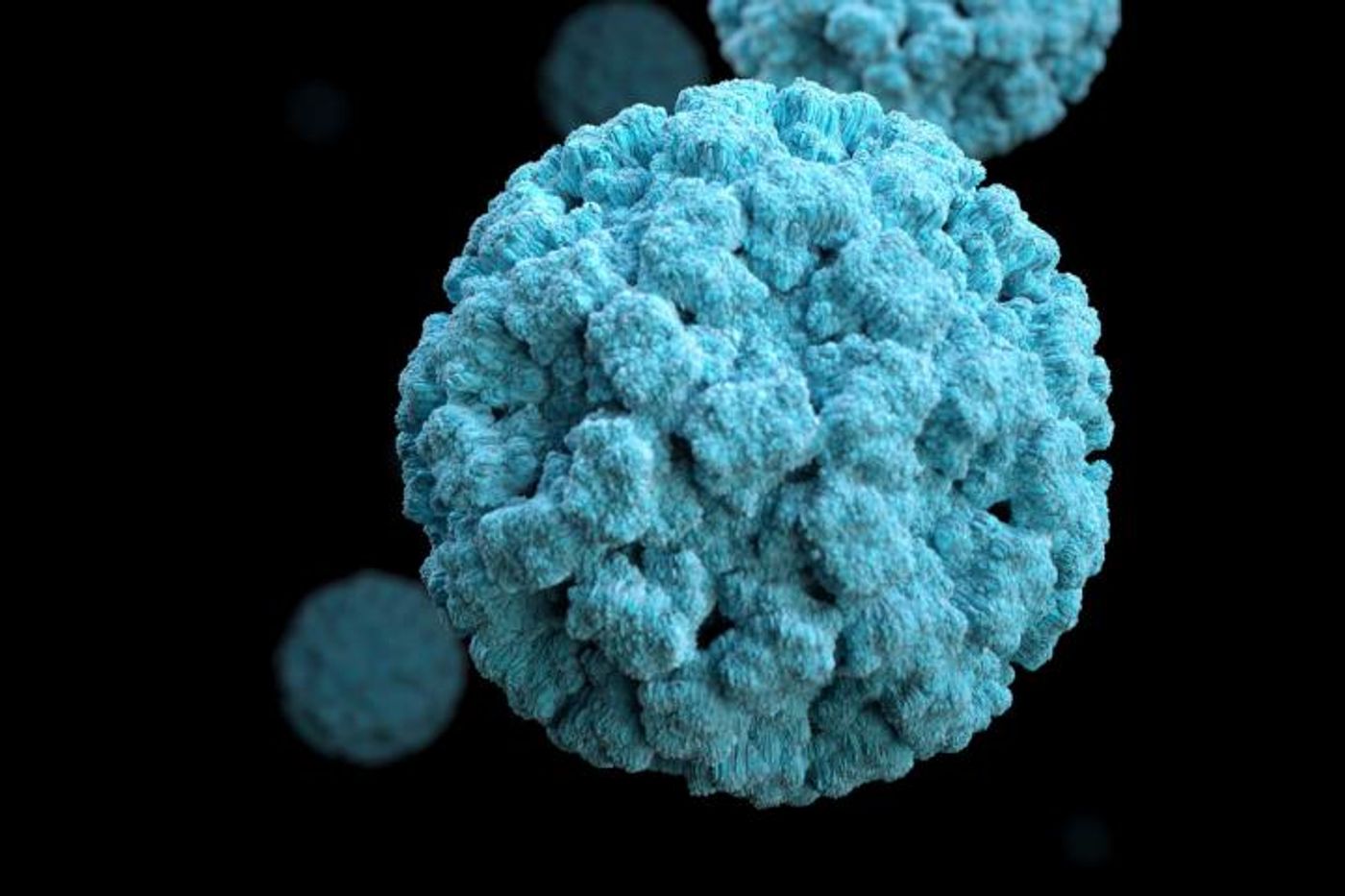 Researchers at Washington University School of Medicine in St. Louis have identified how the highly contagious norovirus infection begins, in mice. Norovirus (pictured above) is a major cause of gastrointestinal illness worldwide. / Credit: CDC