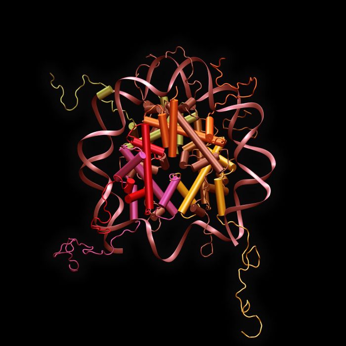 This image shows a nucleosome -- the major carrier of epigenetic information -- in front of the DNA sequence of a typical gene promoter, which is highly enriched for the "CG" sequence pattern carrying DNA methylation in mammals.