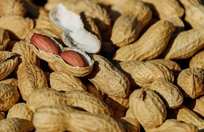 Peanuts are one of the most common food allergies.