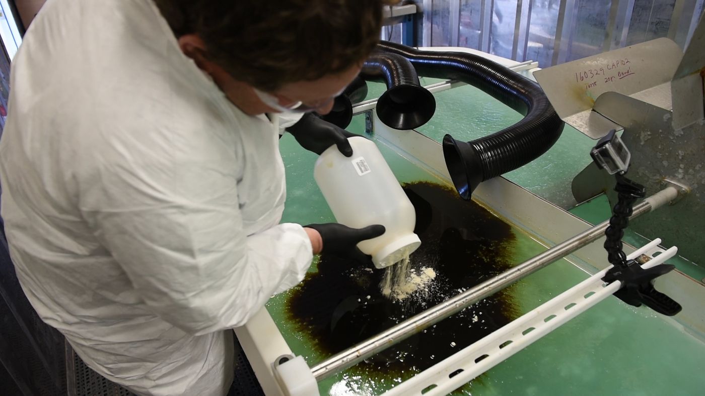 PNNL microbiologist Robert Jeters sprinkles PNNL's chemically modified sawdust onto a small oil spill inside the Arctic simulation lab, where researchers mimic extreme freezing conditions and make icy slush that is similar to what is found on the surface of the Arctic Sea. / Credit: PNNL