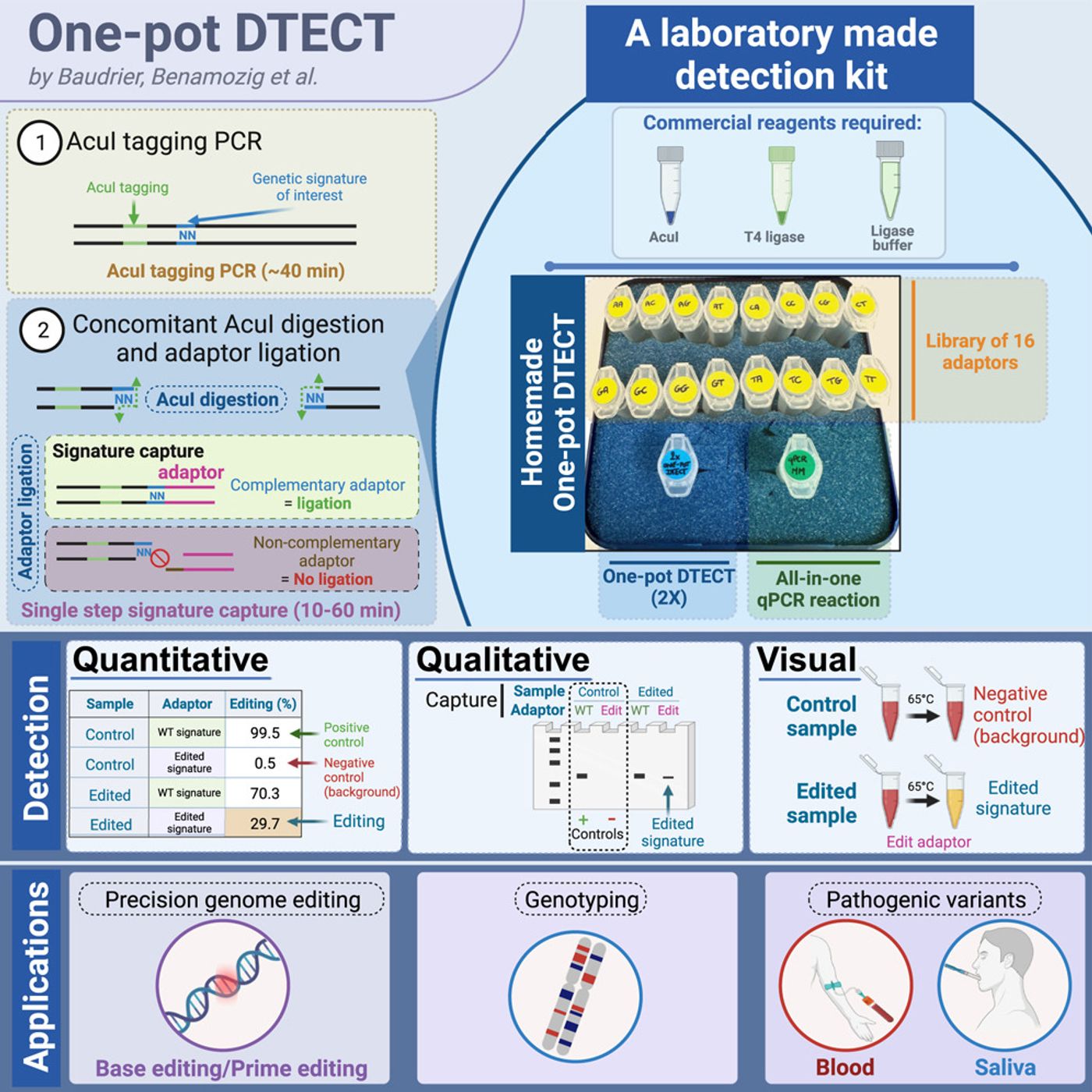 The graphical abstract from Baudrier et al 2024 / Credit: Cell Reports Methods (2024). DOI: 10.1016/j.crmeth.2024.100698