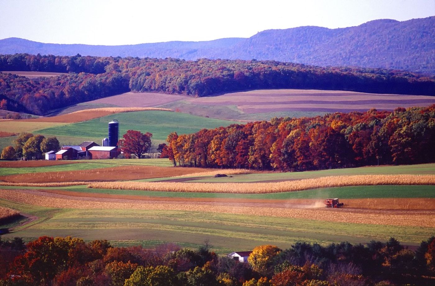 Edges of small forests provide important ecosystem services, despite lower biodiversity. Photo: Pixabay