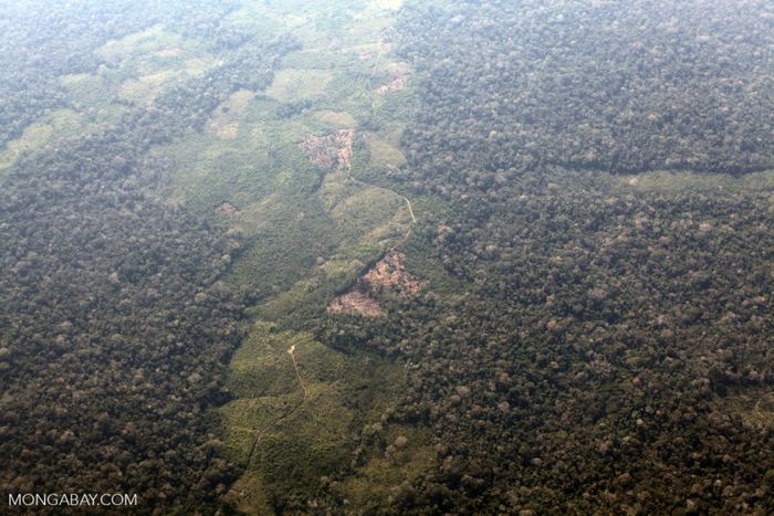 Deforestation along the Peru, Brazil border. Photo by Rhett Butler for Mongabay News.