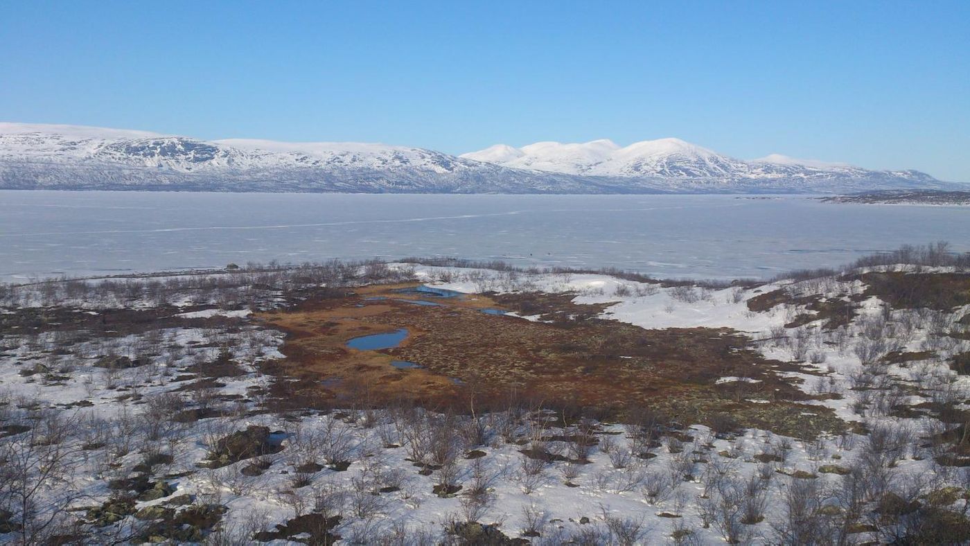 Frozen Lake Torneträsk, located next to the study site.  / Credit: Caitlin Singleton