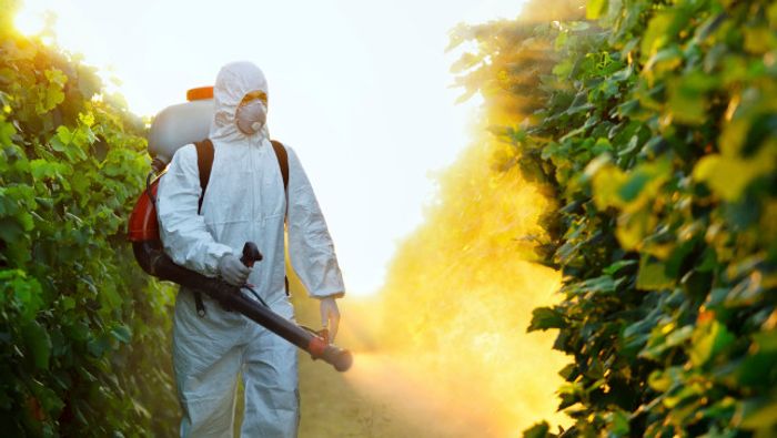 Pesticides can hurt the environment, as well as human health.
