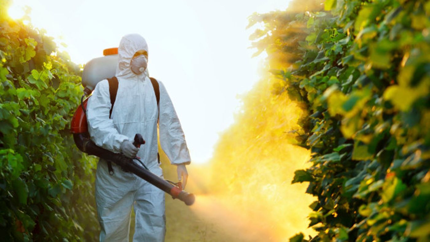 Pesticides can hurt the environment, as well as human health.