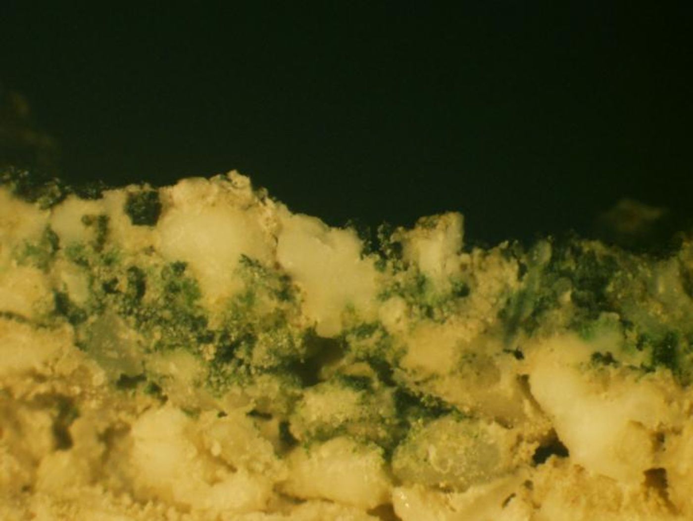 Cross-section of beach rock (Heron Island, Australia) showing chlorophyll-f containing cyanobacteria (green band) growing deep into the rock, several millimetres below the surface. / Credit: Dennis Nuernberg