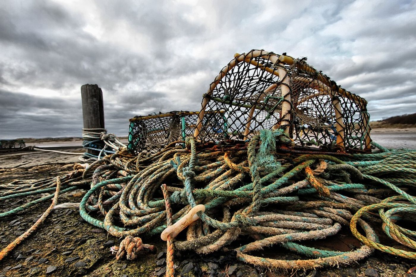The lobster fishery in the Gulf of Maine is a billion dollar industry. Photo: Pixabay