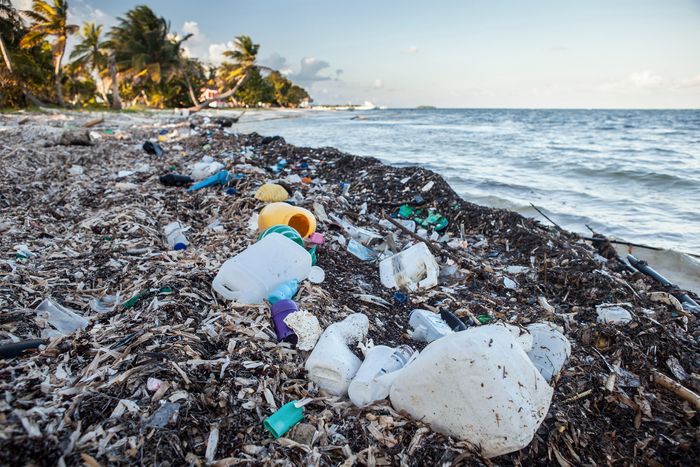 Plastic trash, credit: National Geographic
