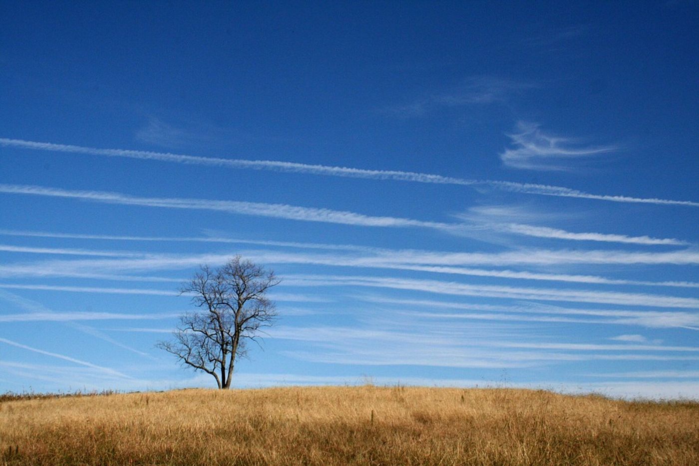 Midwest agriculture depends on rain for irrigation. Photo: Pixabay