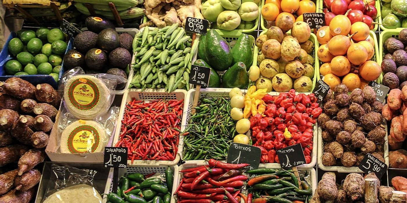 Ancestral Prenatal Diet Improves Fetal Brain Development in Ecuador ...